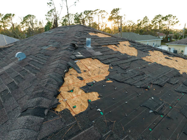 Best Asphalt Shingles Roofing  in Kendallville, IN